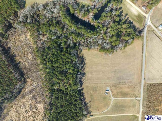 TRACT2 Kemper Church Rd, Lake View, SC 29563 - photo 4