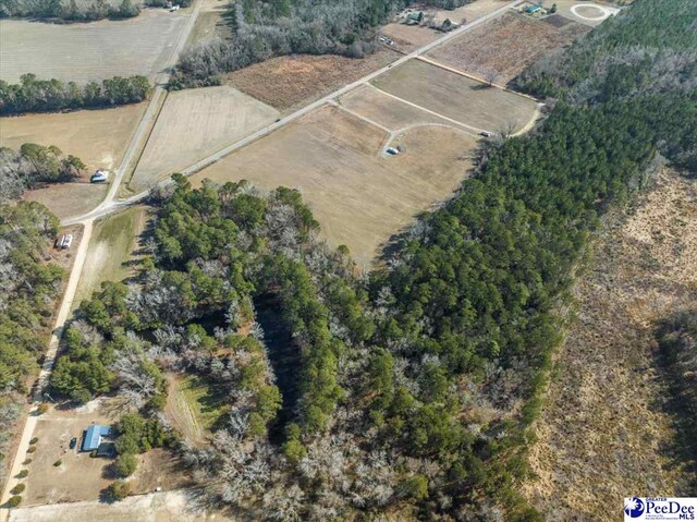 TRACT2 Kemper Church Rd, Lake View, SC 29563 - photo 8