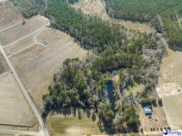 TRACT2 Kemper Church Rd, Lake View, SC 29563 - photo 7