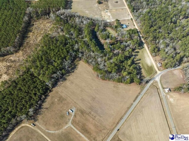 TRACT2 Kemper Church Rd, Lake View, SC 29563 - photo 2