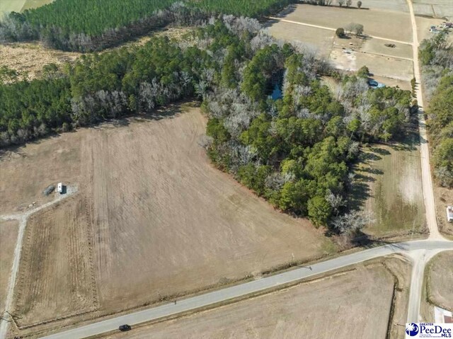 TRACT2 Kemper Church Rd, Lake View, SC 29563 - photo 5