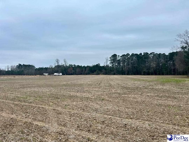TRACT2 Kemper Church Rd, Lake View, SC 29563 - photo 13