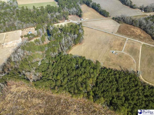 TRACT2 Kemper Church Rd, Lake View, SC 29563 - photo 3