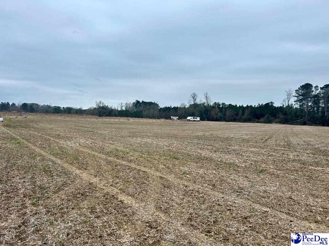 TRACT2 Kemper Church Rd, Lake View, SC 29563 - photo 12