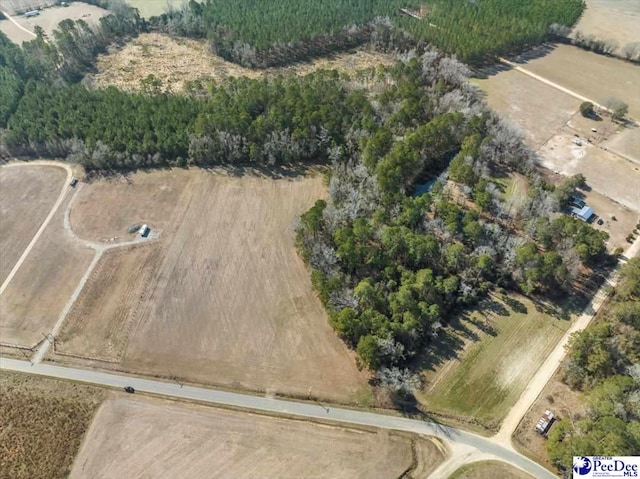 TRACT2 Kemper Church Rd, Lake View, SC 29563 - photo 6
