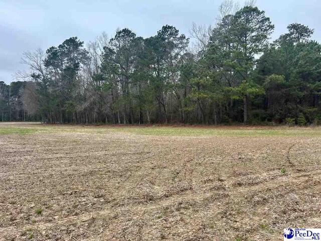 TRACT2 Kemper Church Rd, Lake View, SC 29563 - photo 10