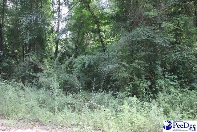 TBD Highway 145 N, Chesterfield, SC 29709 - photo 3