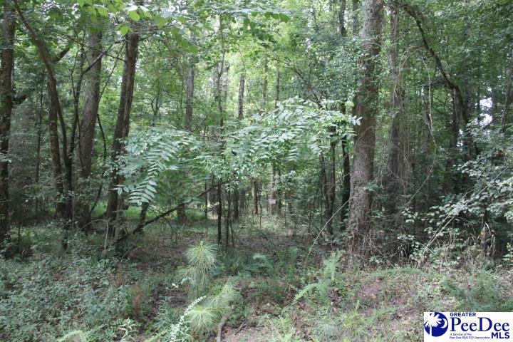 TBD Highway 145 N, Chesterfield, SC 29709 - photo 2