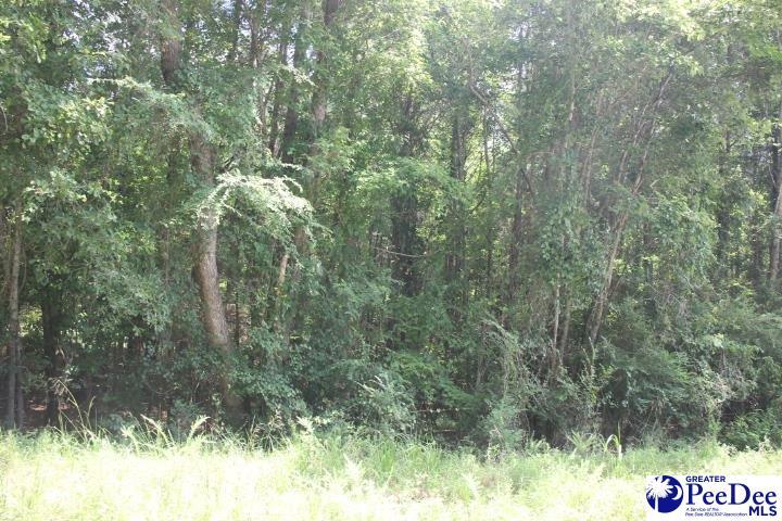 TBD Highway 145 N, Chesterfield, SC 29709 - photo 1