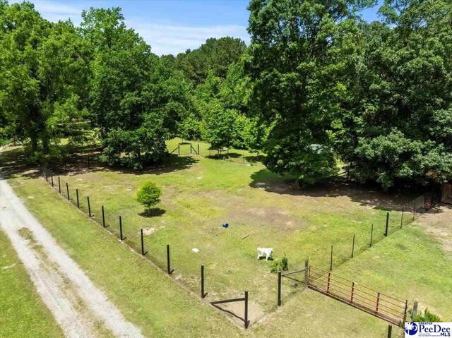 1059 Mills Rd, Lynchburg, SC 29080 - photo 69