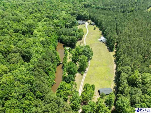 1059 Mills Rd, Lynchburg, SC 29080 - photo 5