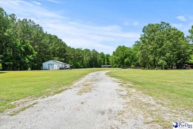1059 Mills Rd, Lynchburg, SC 29080 - photo 62