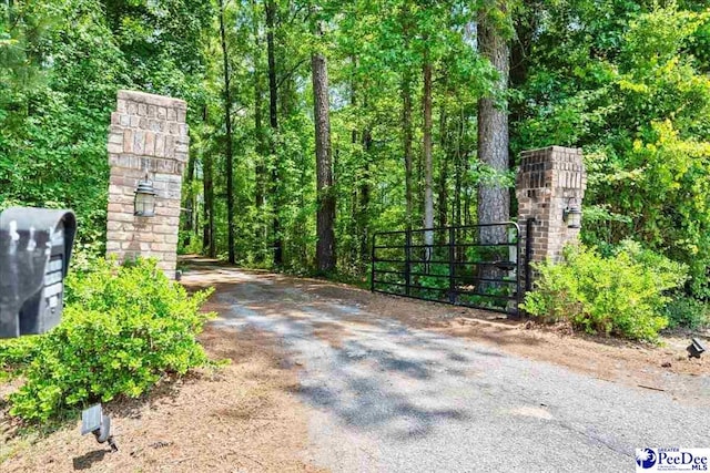 1059 Mills Rd, Lynchburg, SC 29080 - photo 63
