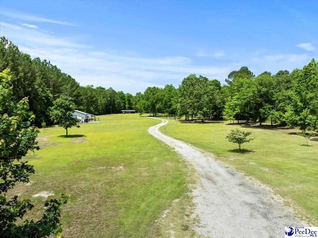 1059 Mills Rd, Lynchburg, SC 29080 - photo 2