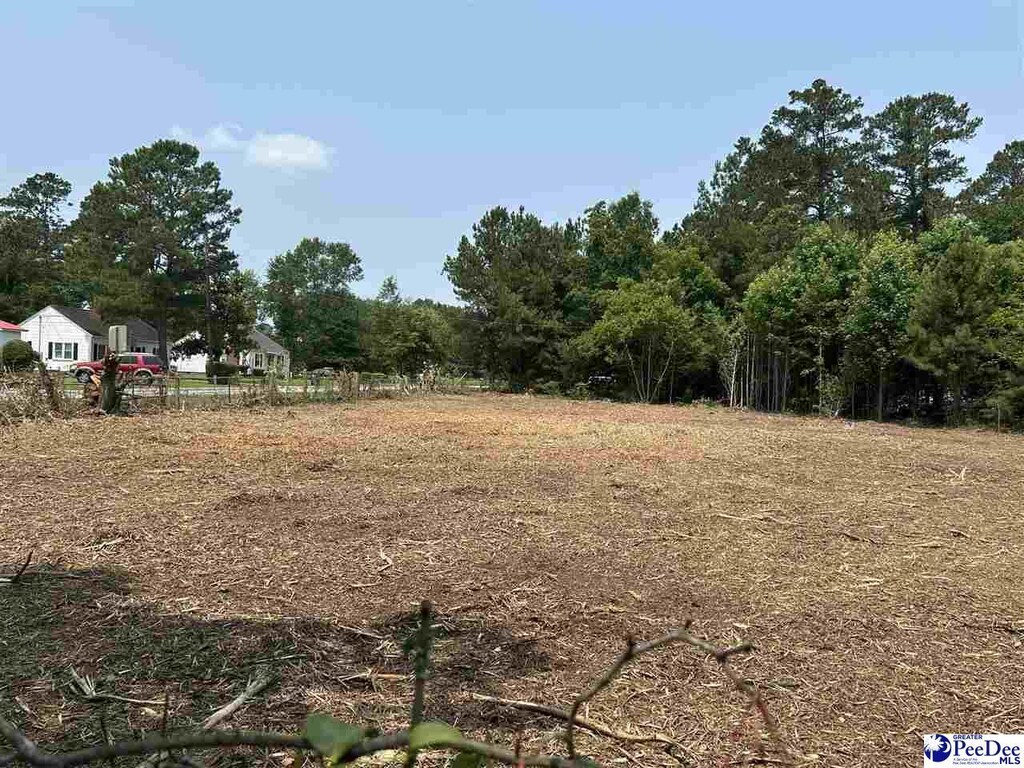 430 Alane St, Lake City, SC 29560 - photo 2