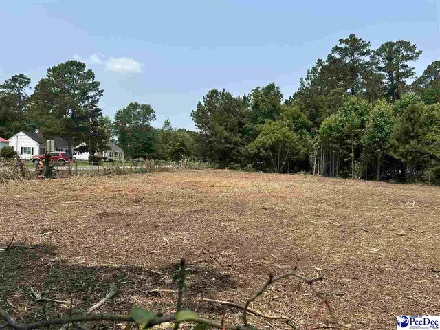 430 Alane St, Lake City, SC 29560 - photo 2