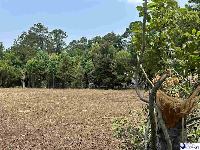 430 Alane St, Lake City, SC 29560 - photo 1