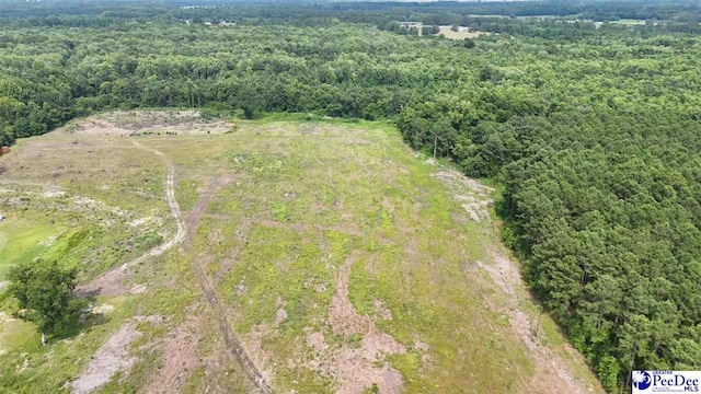 1714 Cale Yarborough Hwy, Timmonsville, SC 29161 - drone / aerial view of a forest