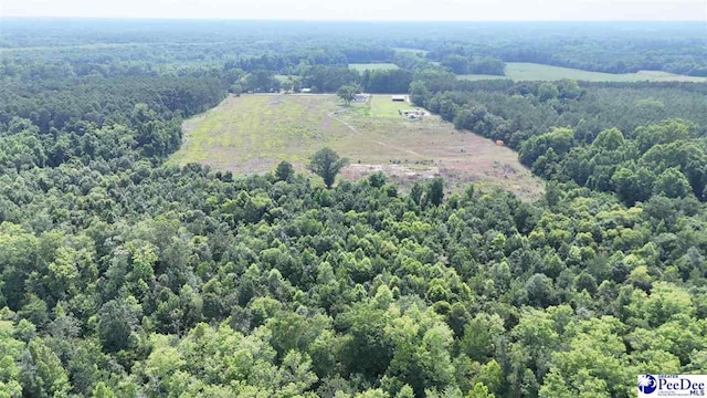 1714 Cale Yarborough Hwy, Timmonsville, SC 29161 - drone / aerial view of a forest