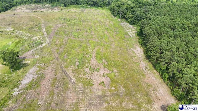 1714 Cale Yarborough Hwy, Timmonsville, SC 29161 - aerial view