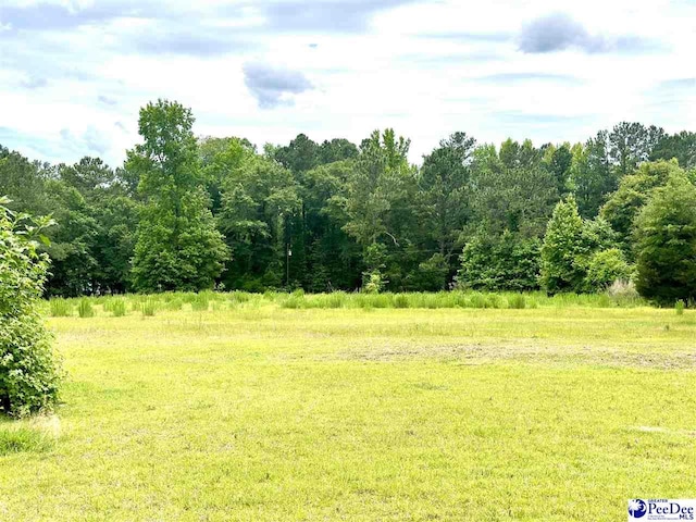 135 Jesse Gaskins, Chesterfield SC, 29709 land for sale