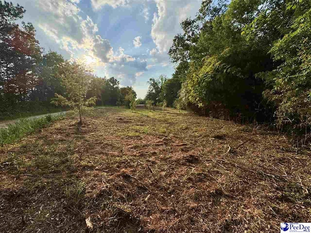 3.40/- Freeman Loop Rd, Chesterfield, SC 29709 - photo 8