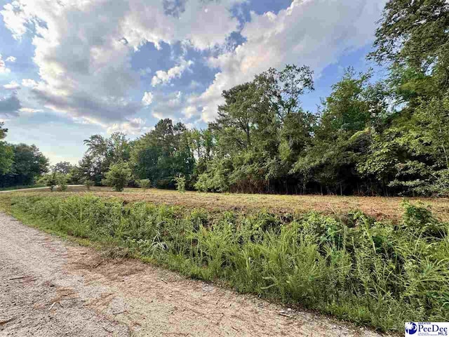3.40/- Freeman Loop Rd, Chesterfield, SC 29709 - photo 6