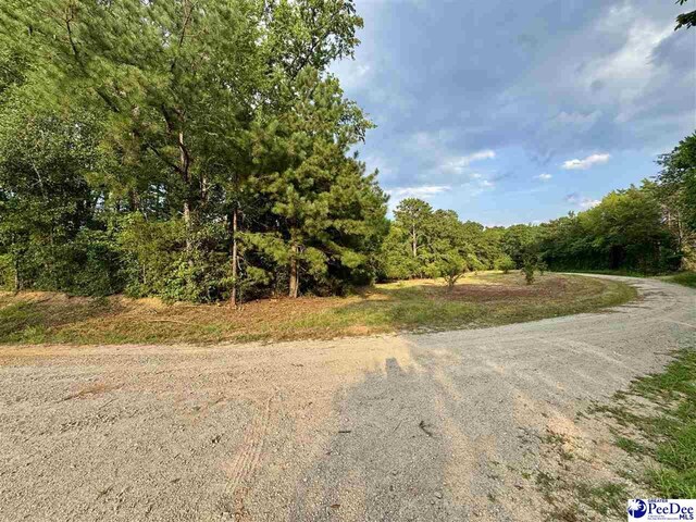 3.40/- Freeman Loop Rd, Chesterfield, SC 29709 - photo 4