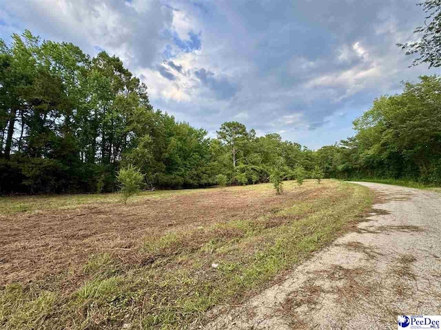 3.40/- Freeman Loop Rd, Chesterfield, SC 29709 - photo 1