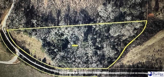 3.40/- Freeman Loop Rd, Chesterfield, SC 29709 - photo 9