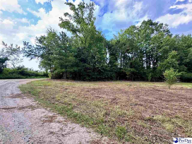 3.40/- Freeman Loop Rd, Chesterfield, SC 29709 - photo 2