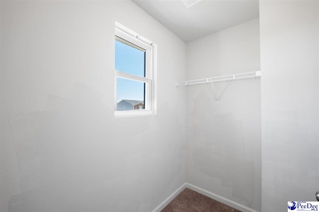 spacious closet with carpet