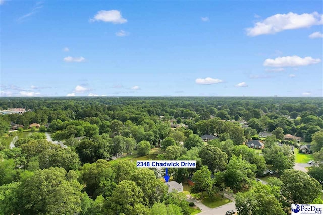 2348 Chadwick Dr, Florence, SC 29501 - aerial view of a heavily wooded area and a large body of water