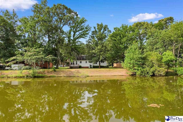 2348 Chadwick Dr, Florence, SC 29501 - water view