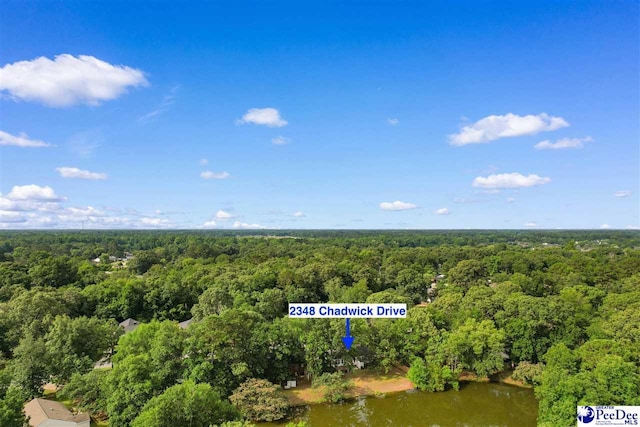 2348 Chadwick Dr, Florence, SC 29501 - drone / aerial view of a forest