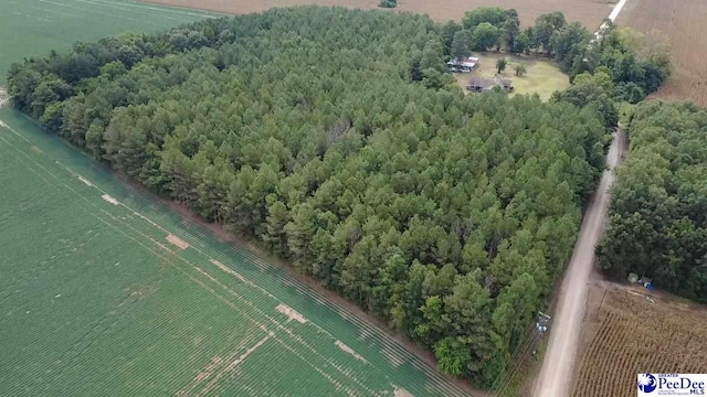 TBD Bomar Trl, Pinewood, SC 29125 - photo 2