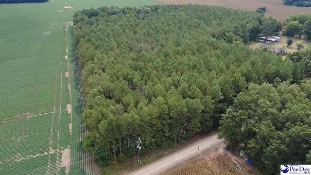 TBD Bomar Trl, Pinewood, SC 29125 - photo 3