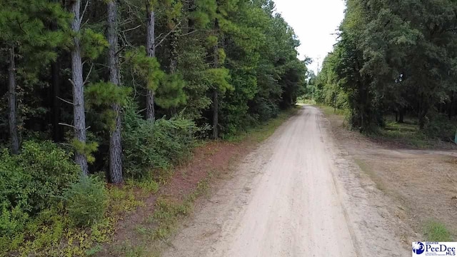 TBD Bomar Trl, Pinewood, SC 29125 - photo 4