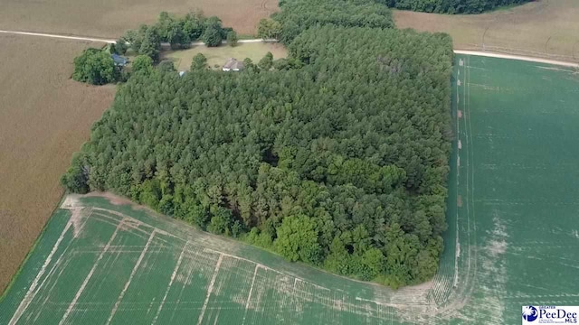 TBD Bomar Trl, Pinewood, SC 29125 - photo 1
