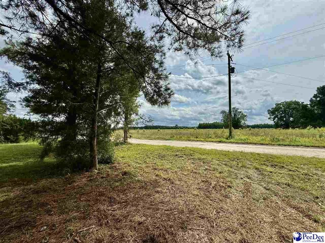 3802 Billy Green Rd, Florence, SC 29505