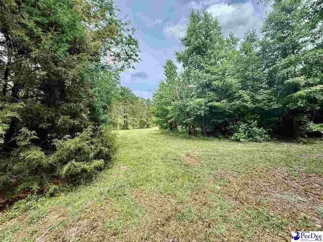 3802 Billy Green Rd, Florence, SC 29505