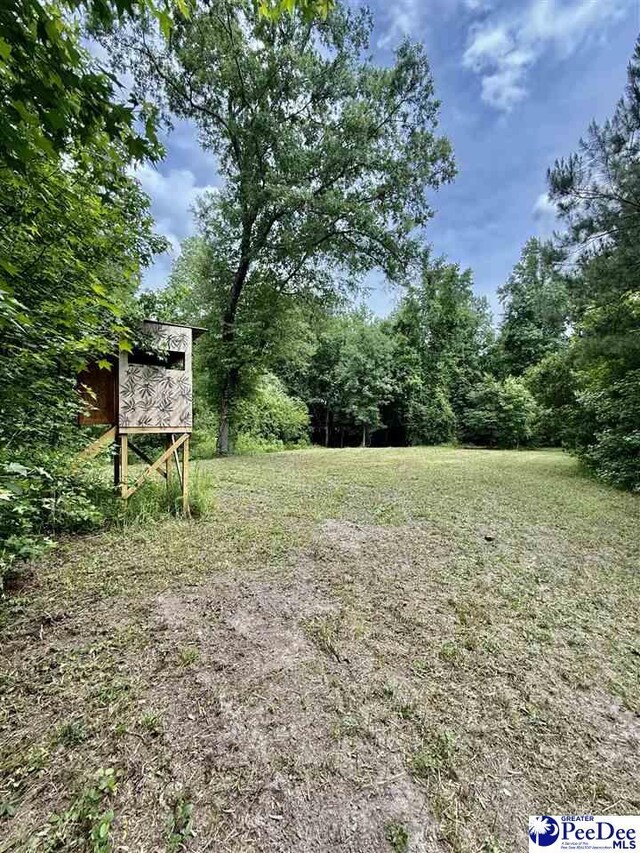 3802 Billy Green Rd, Florence, SC 29505