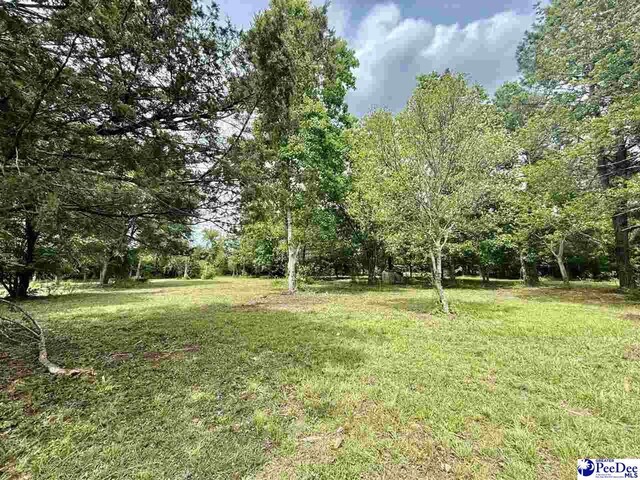 3802 Billy Green Rd, Florence, SC 29505