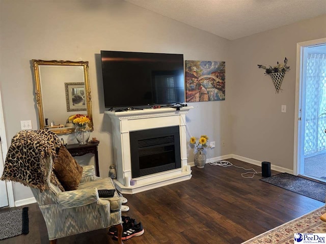 living area with a glass covered fireplace, vaulted ceiling, wood finished floors, and baseboards