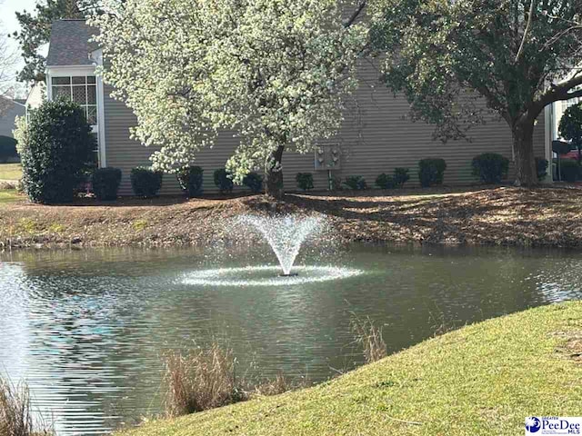 view of water feature