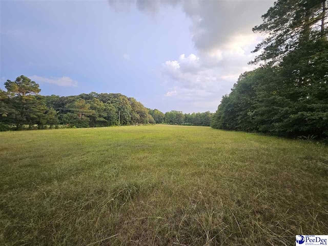 0000 Morrison Rd, Hartsville, SC 29550 - photo 1