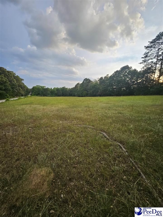 0000 Morrison Rd, Hartsville, SC 29550 - photo 3