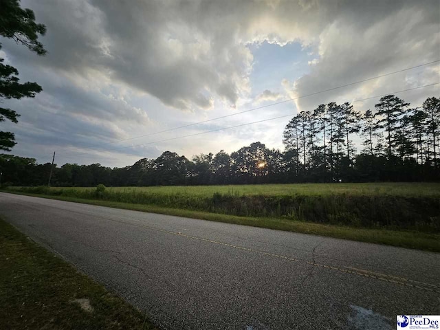 0000 Morrison Rd, Hartsville, SC 29550 - photo 2