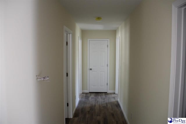 hallway with dark wood-type flooring