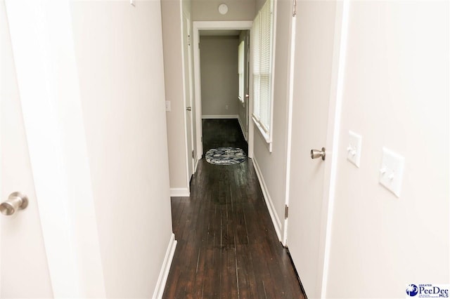 corridor featuring dark wood-type flooring